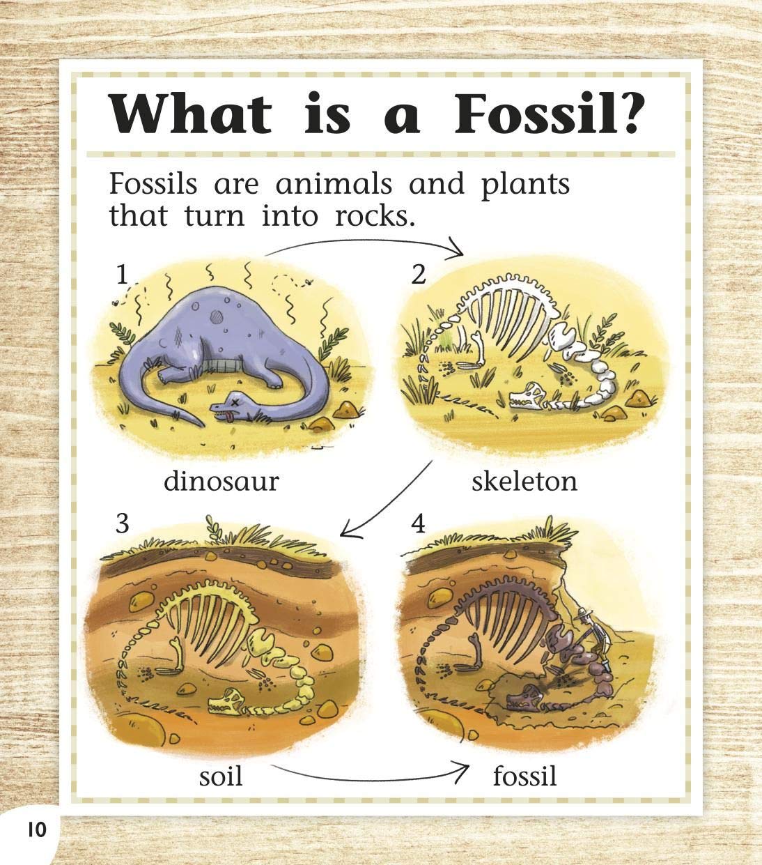 Read with Oxford: Stage 3. Non-fiction: Survival and Extinction-1