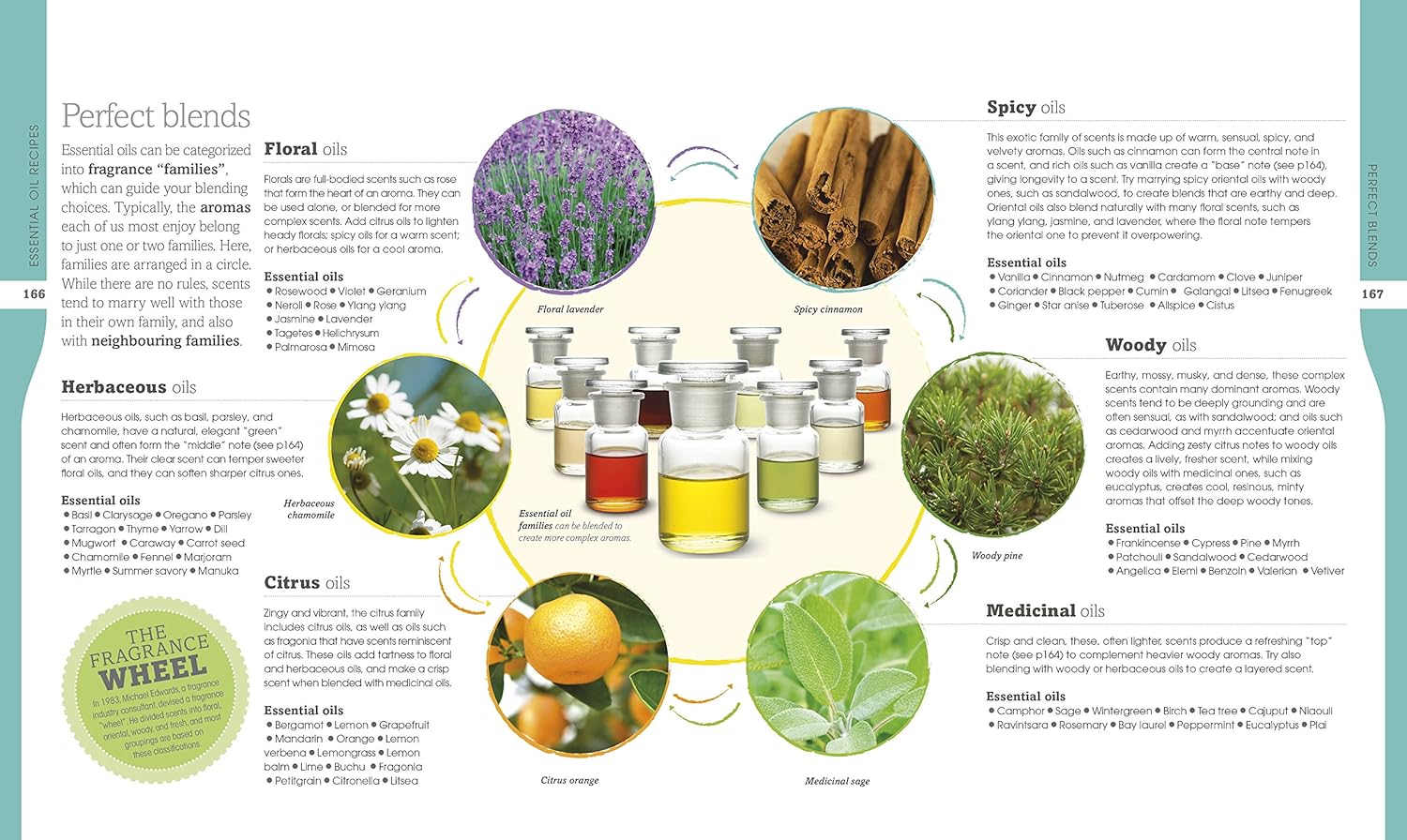 Neal's Yard Remedies Essential Oils: Restore * Rebalance * Revitalize * Feel the Benefits * Enhance Natural Beauty * Create Blends-5