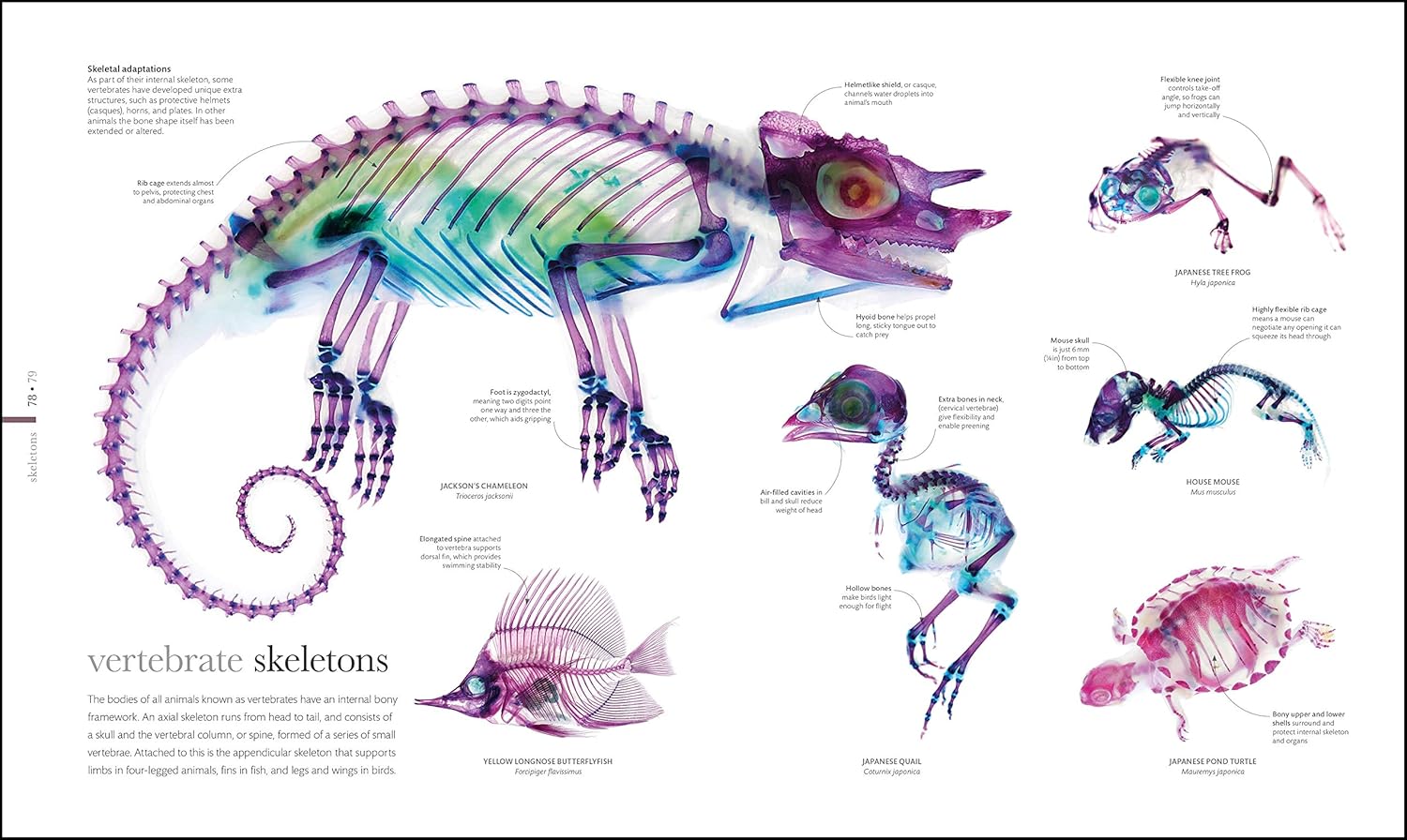 The Science of Animals: Inside their Secret World-3