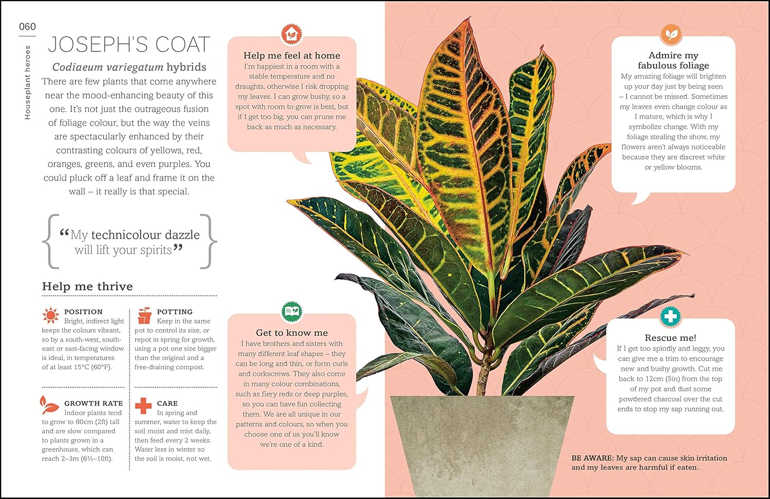 My House Plant Changed My Life: Green Wellbeing for the Great Indoors-5