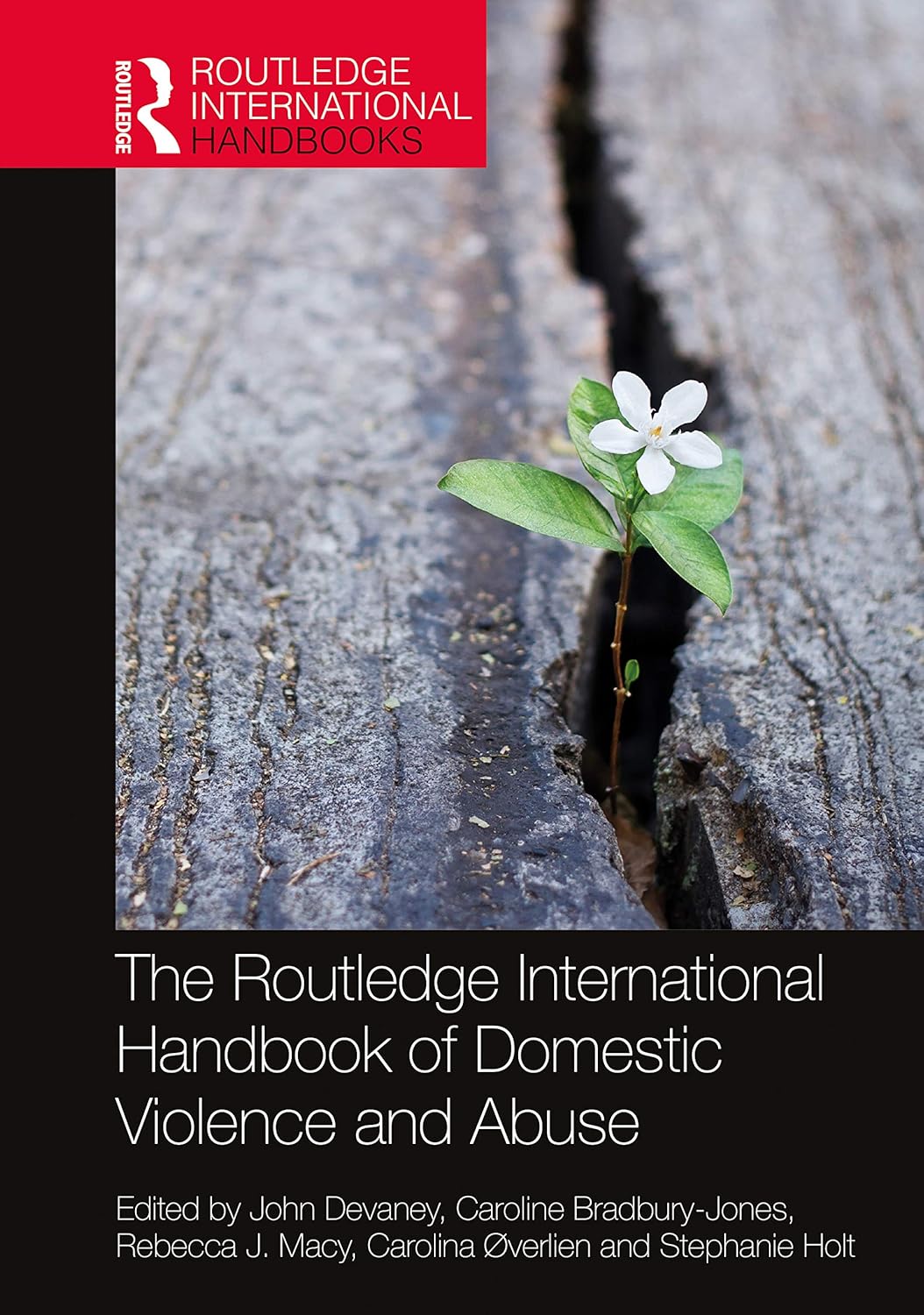 The Routledge International Handbook of Domestic Violence and Abuse (Routledge International Handbooks)-0