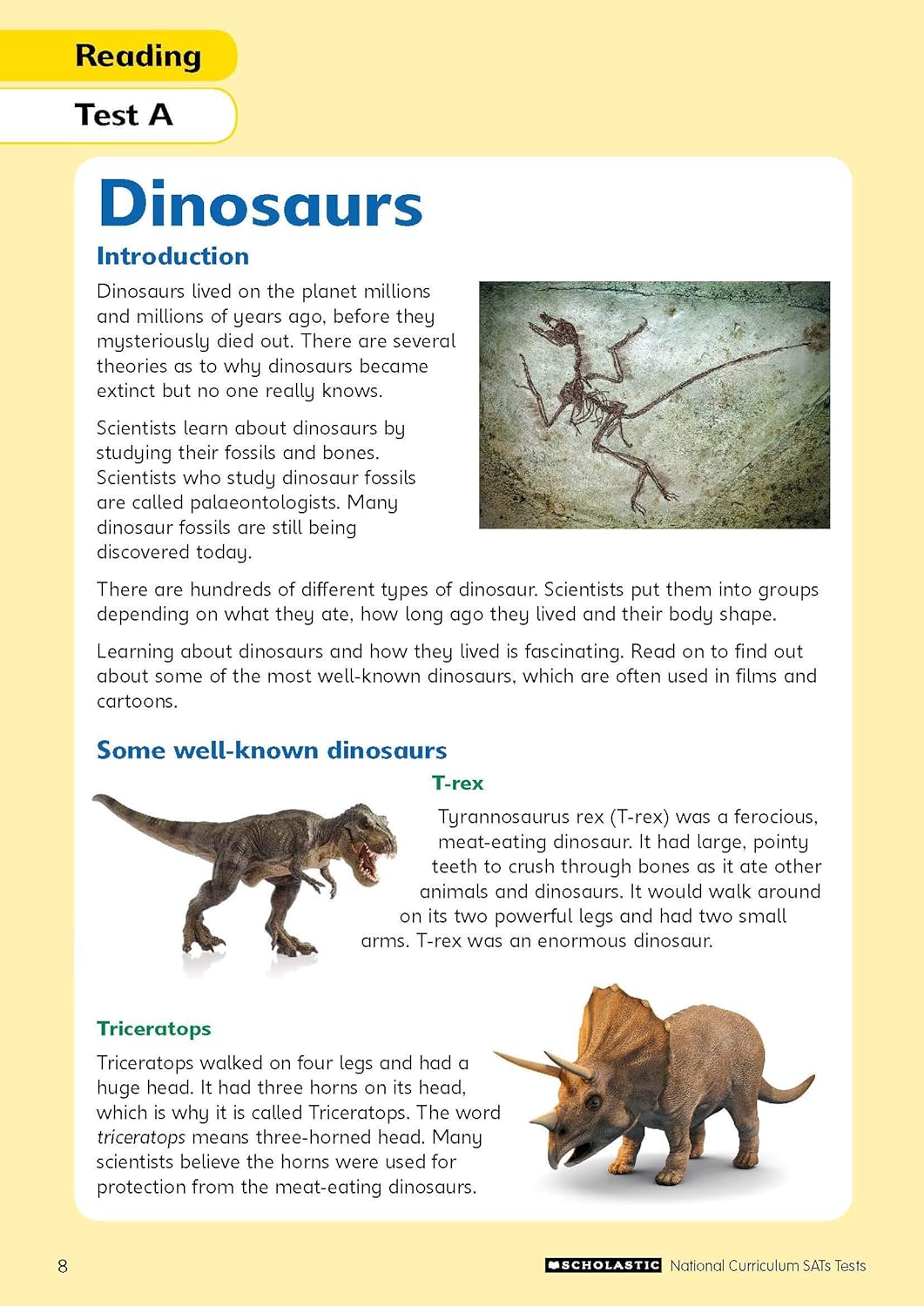 Reading Practice Tests for Ages 7-8 (Year 3) Includes three complete test papers plus answers and mark scheme (National Curriculum SATs Tests): 1-2