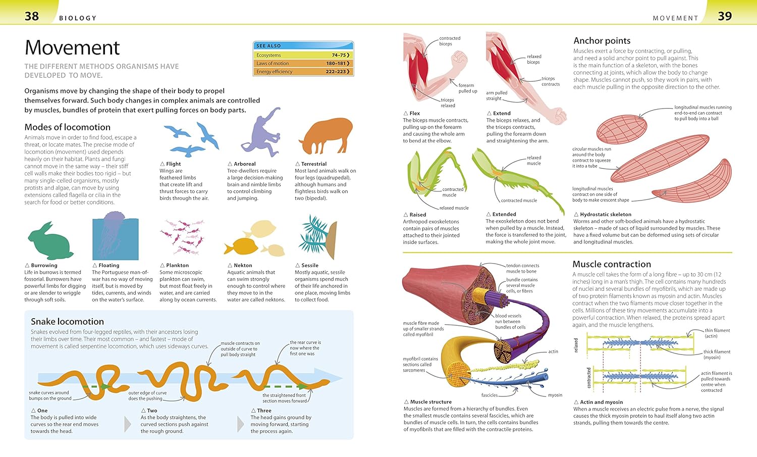 Help Your Kids with Science: A Unique Step-by-Step Visual Guide, Revision and Reference-10