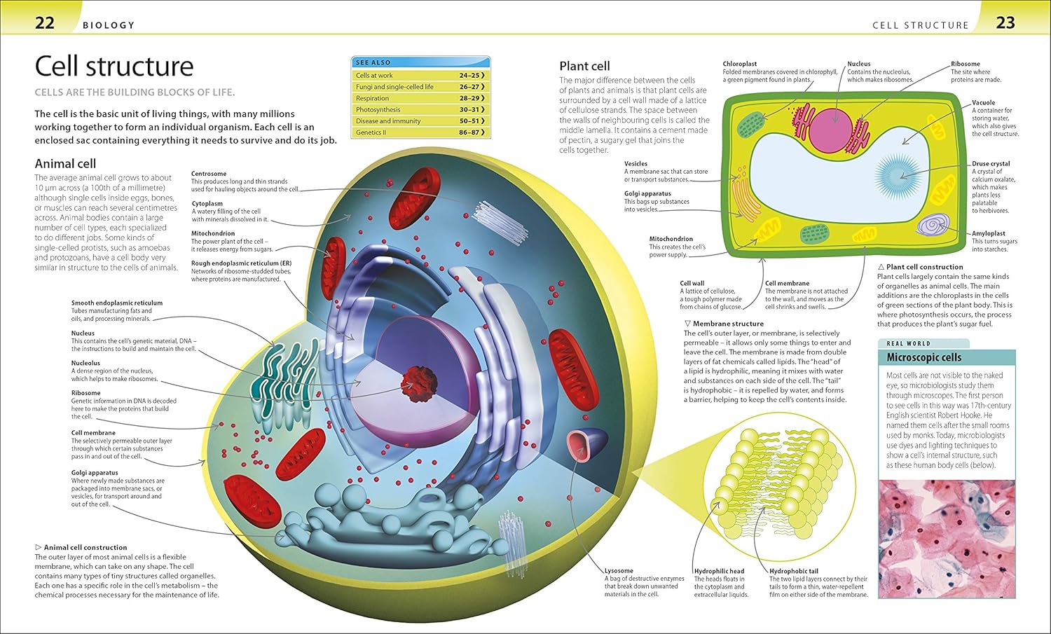 Help Your Kids with Science: A Unique Step-by-Step Visual Guide, Revision and Reference-4