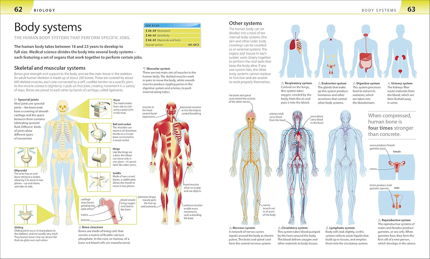 Help Your Kids with Science: A Unique Step-by-Step Visual Guide, Revision and Reference-5