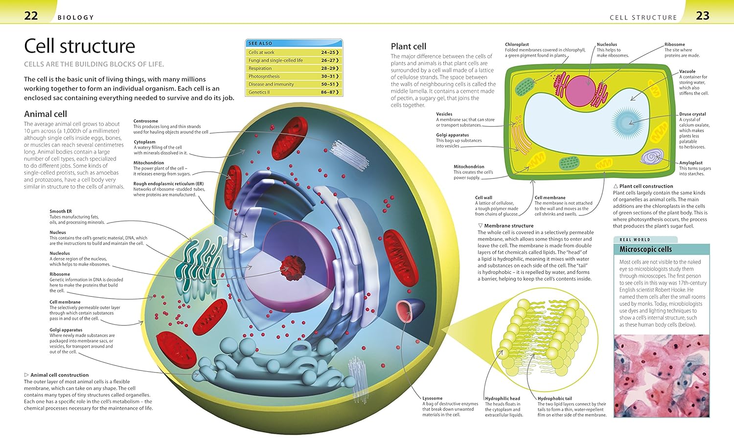 Help Your Kids with Science: A Unique Step-by-Step Visual Guide, Revision and Reference-9