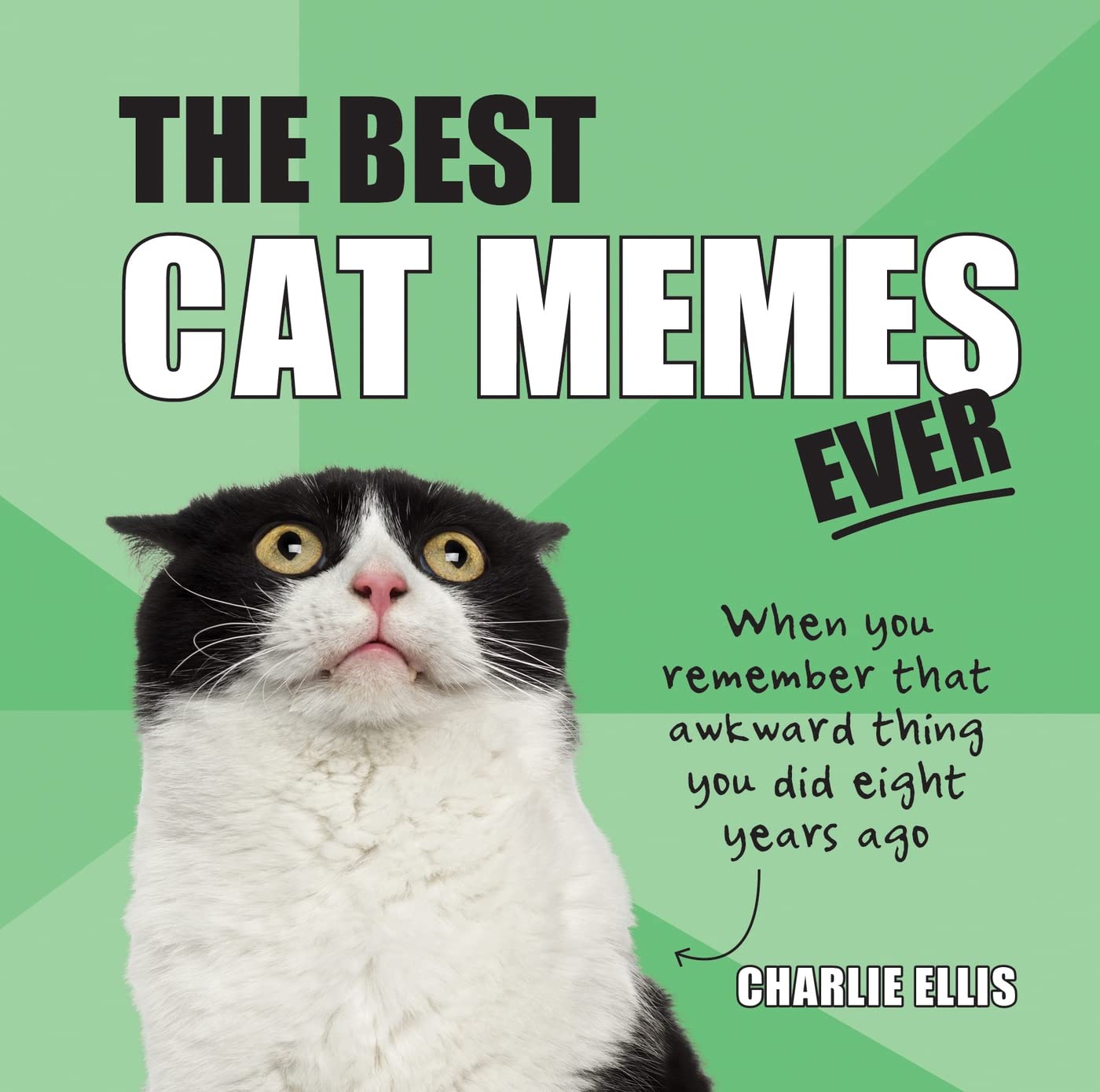 The Best Cat Memes Ever: The Funniest Relatable Memes as Told by Cats-0