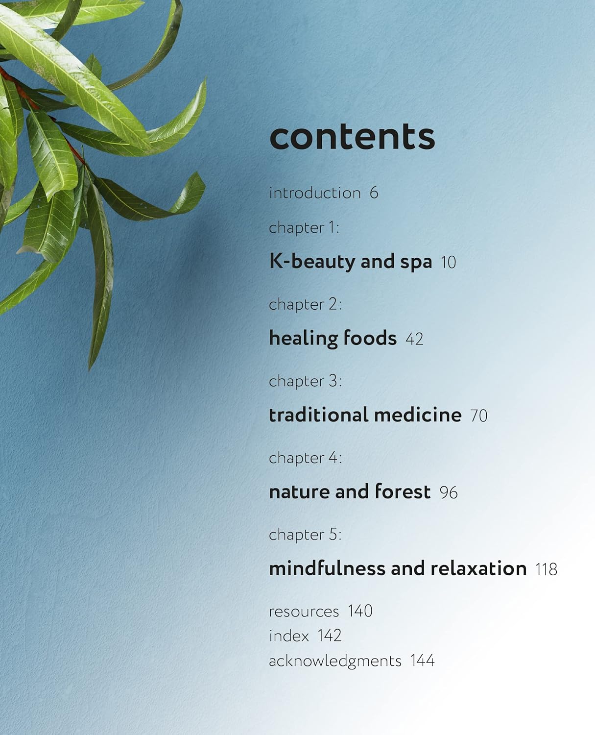 The Book of Korean Self-Care: K-beauty, healing foods, traditional medicine, mindfulness, and much more-4