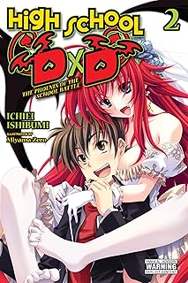 High School DxD, Vol. 2 (light novel): The Phoenix of the School Battle (HIGH SCHOOL DXD LIGHT NOVEL SC)