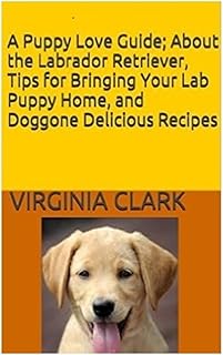 A Puppy Love Guide: About the Labrador Retriever, Tips for Bringing Your Lab Pup