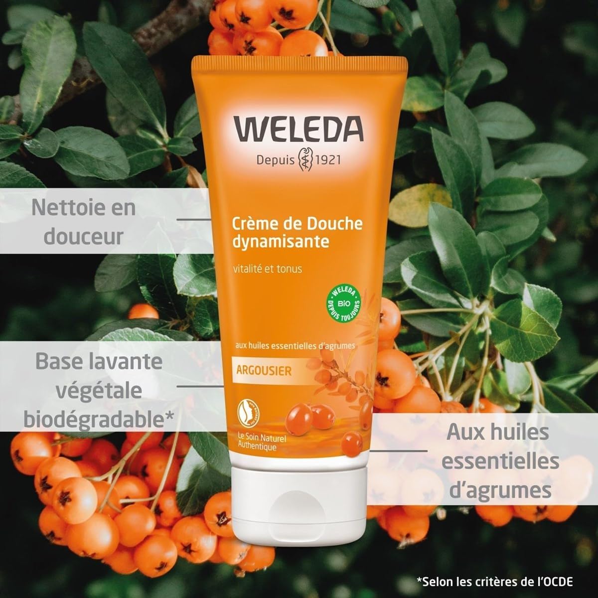 Weleda Shower Gel with Sea Buckthorn, Creamy Body Wash, For Women & Men, Cleanse & Vitality, Paraben & SLS Free, Certified Natural, Organic, Vegan, 200 ml-1