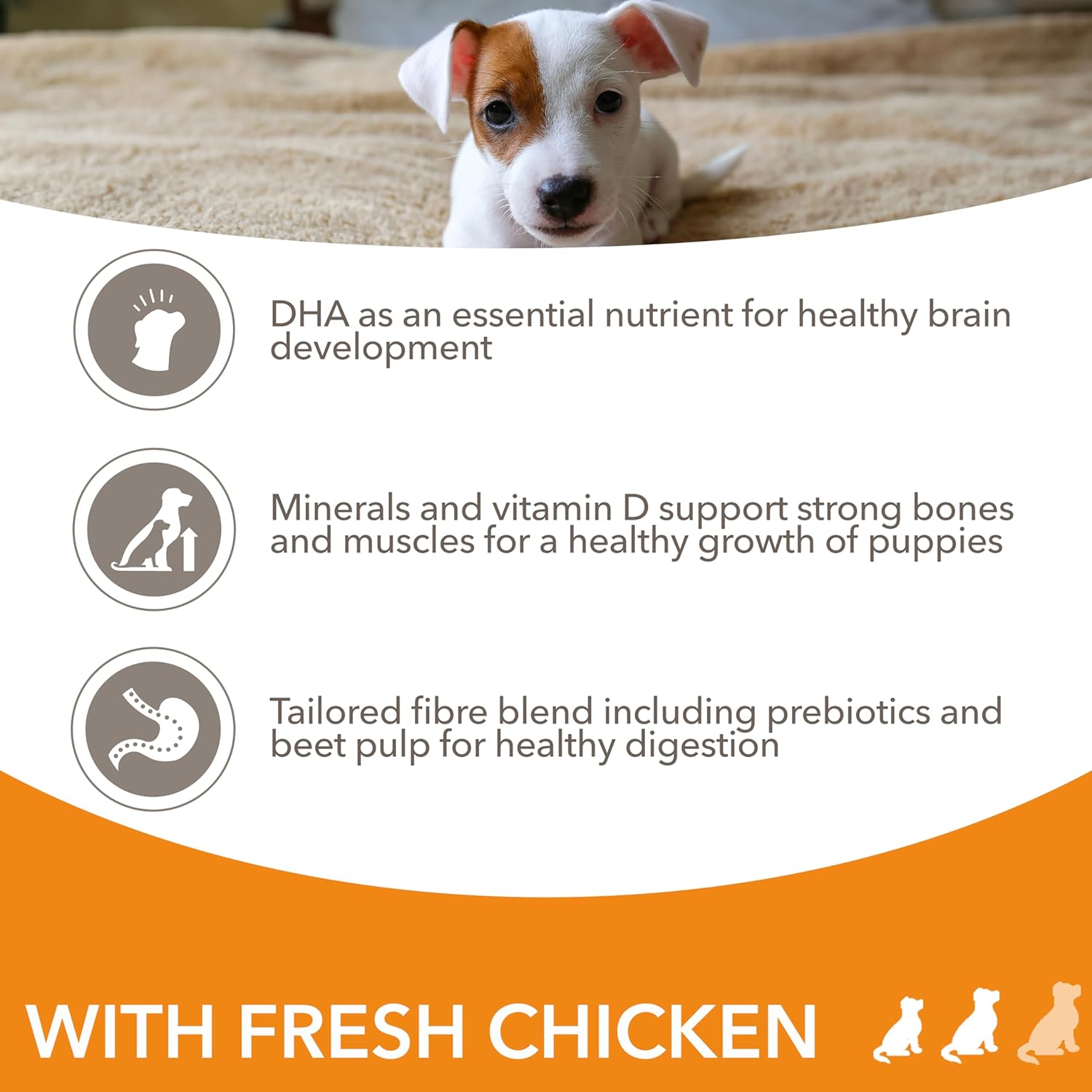 IAMS Complete Dry Dog Food for Puppy Small and Medium Breeds with Chicken 3 kg-3