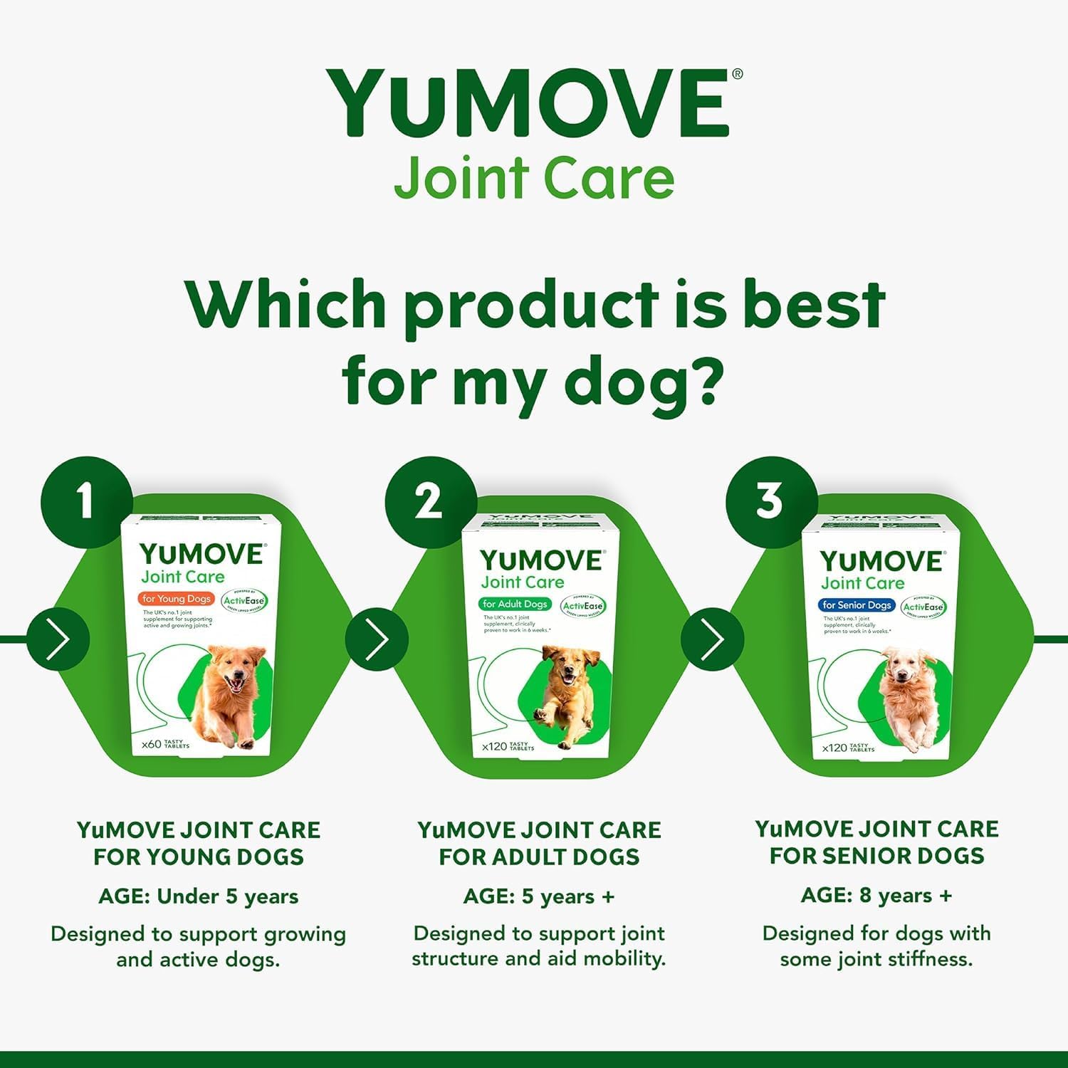 Lintbells | YuMOVE Dog | Essential Hip and Joint Supplement for Stiff Dogs | 60 Tablets-5