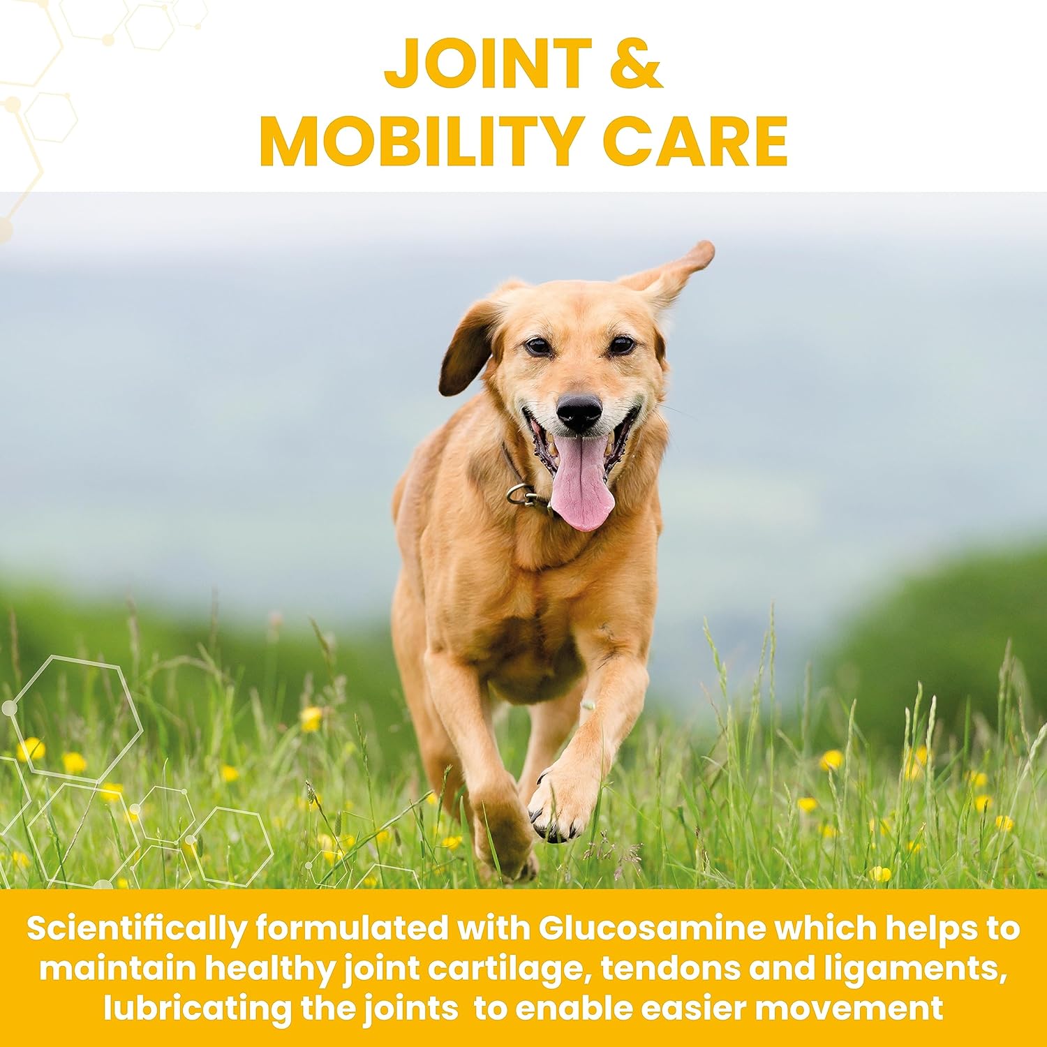 Vetzyme Flexible Joint Supplements for Dogs (90 Tablets) - Hip and Joint Care with Glucosamine, Tasty Chicken Flavour-3