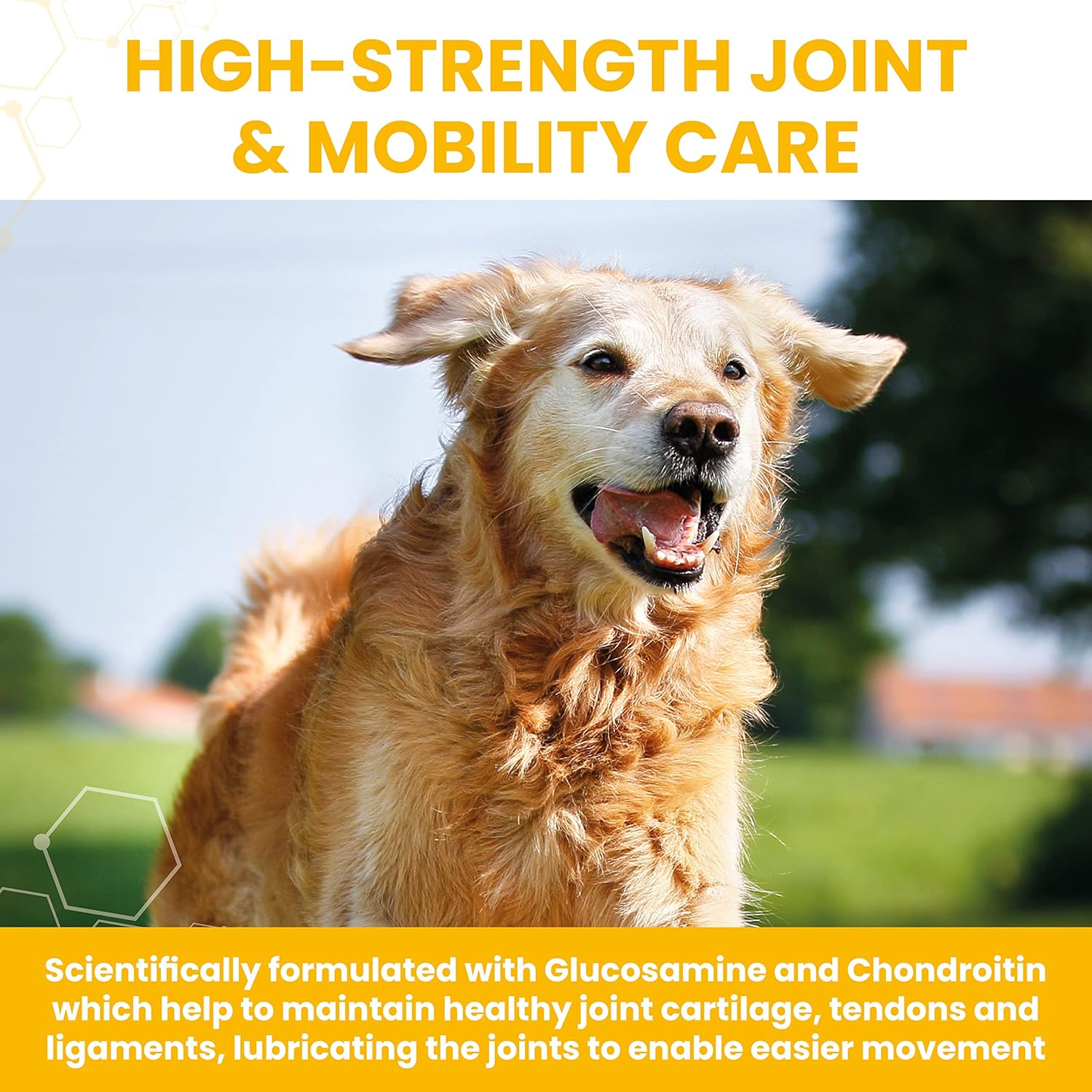 Vetzyme High Strength Flexible Joint Supplements for Senior Dogs (90 Tablets) - Hip and Joint Care with Chondroitin and Glucosamine, Tasty Chicken Flavour-3