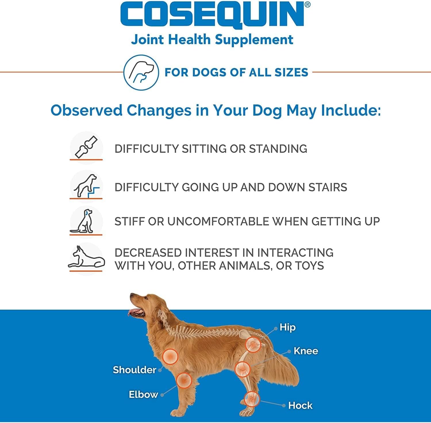 Cosequin DS Plus MSM Joint Health for Dogs - 180 Chewable Tablets-3