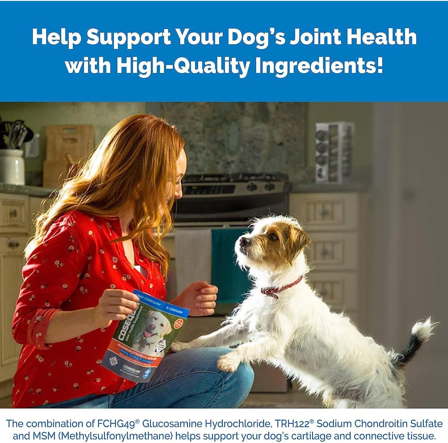 Cosequin DS Plus MSM Joint Health for Dogs - 180 Chewable Tablets-4