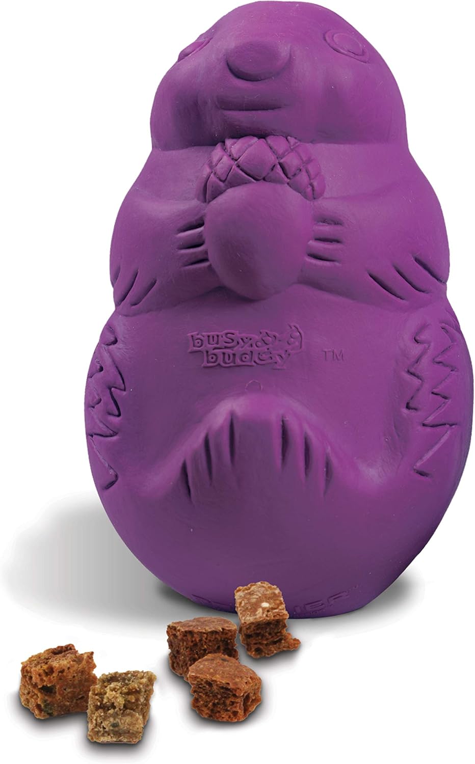 PetSafe Busy Buddy Squirrel Dude, Interactive Treat Dispensing Dog Toy - Chew Toy, Small Dogs-0