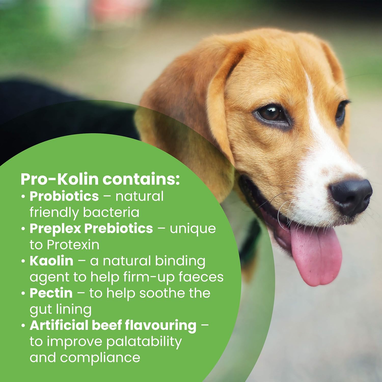 Protexin pet health Pro-Kolin for Dogs and Cats Probiotic Paste and Syringe, 60 ml (Pack of 1)-2