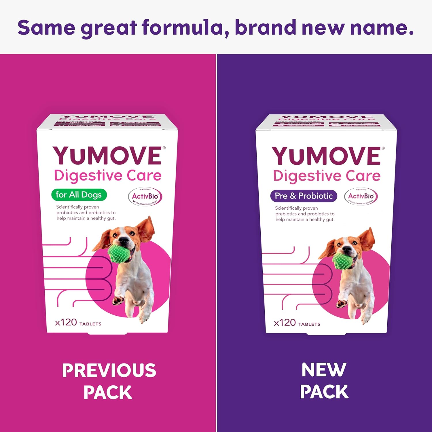 YuMOVE Digestive Care for All Dogs | Previously YuDIGEST | Probiotics for Dogs with Sensitive Digestion, All Ages and Breeds | 120 Tablets-1