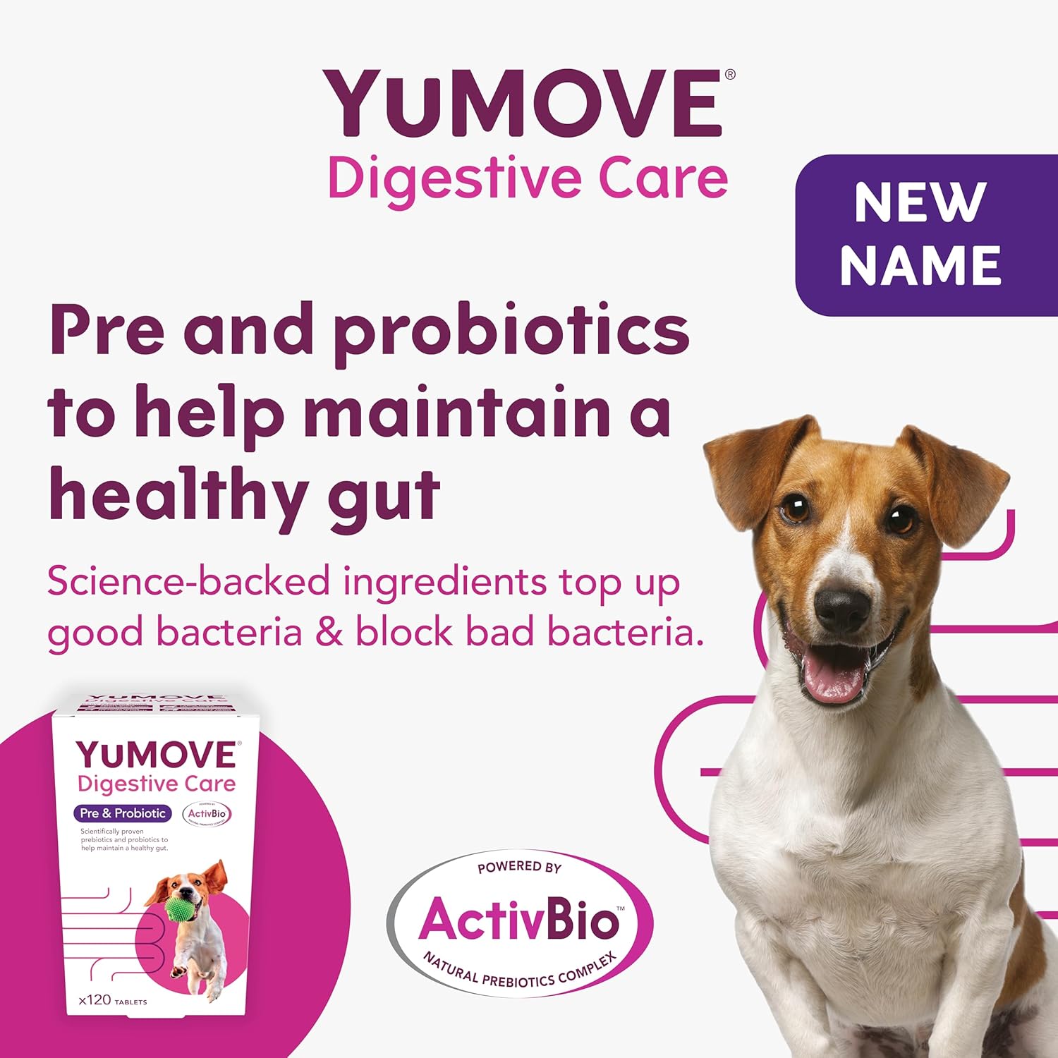 YuMOVE Digestive Care for All Dogs | Previously YuDIGEST | Probiotics for Dogs with Sensitive Digestion, All Ages and Breeds | 120 Tablets-2