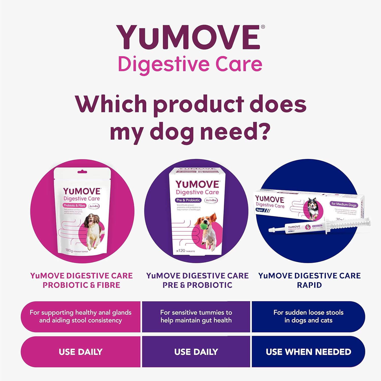 YuMOVE Digestive Care for All Dogs | Previously YuDIGEST | Probiotics for Dogs with Sensitive Digestion, All Ages and Breeds | 120 Tablets-4