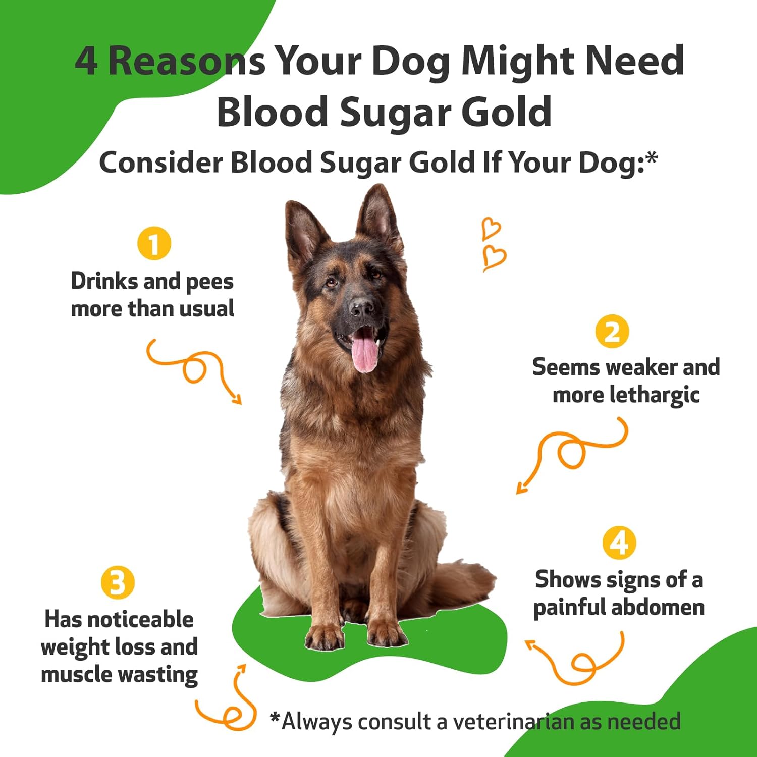 Pet Wellbeing Blood Sugar Gold for Dogs - Vet-Formulated - Supports Healthy Blood Sugar Balance, Pancreas & Liver Function - Natural Herbal Supplement 2 oz (59 ml)-1