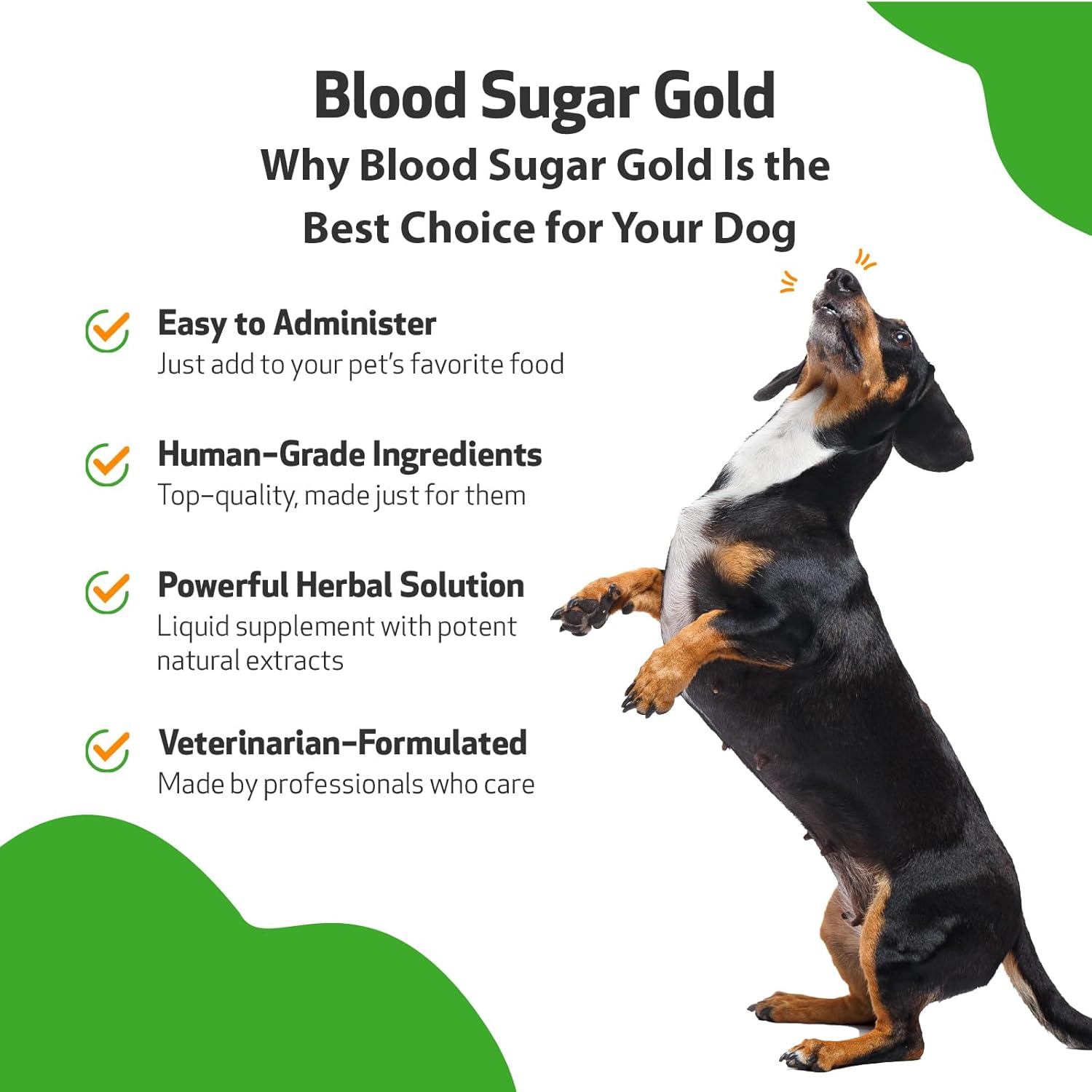 Pet Wellbeing Blood Sugar Gold for Dogs - Vet-Formulated - Supports Healthy Blood Sugar Balance, Pancreas & Liver Function - Natural Herbal Supplement 2 oz (59 ml)-3