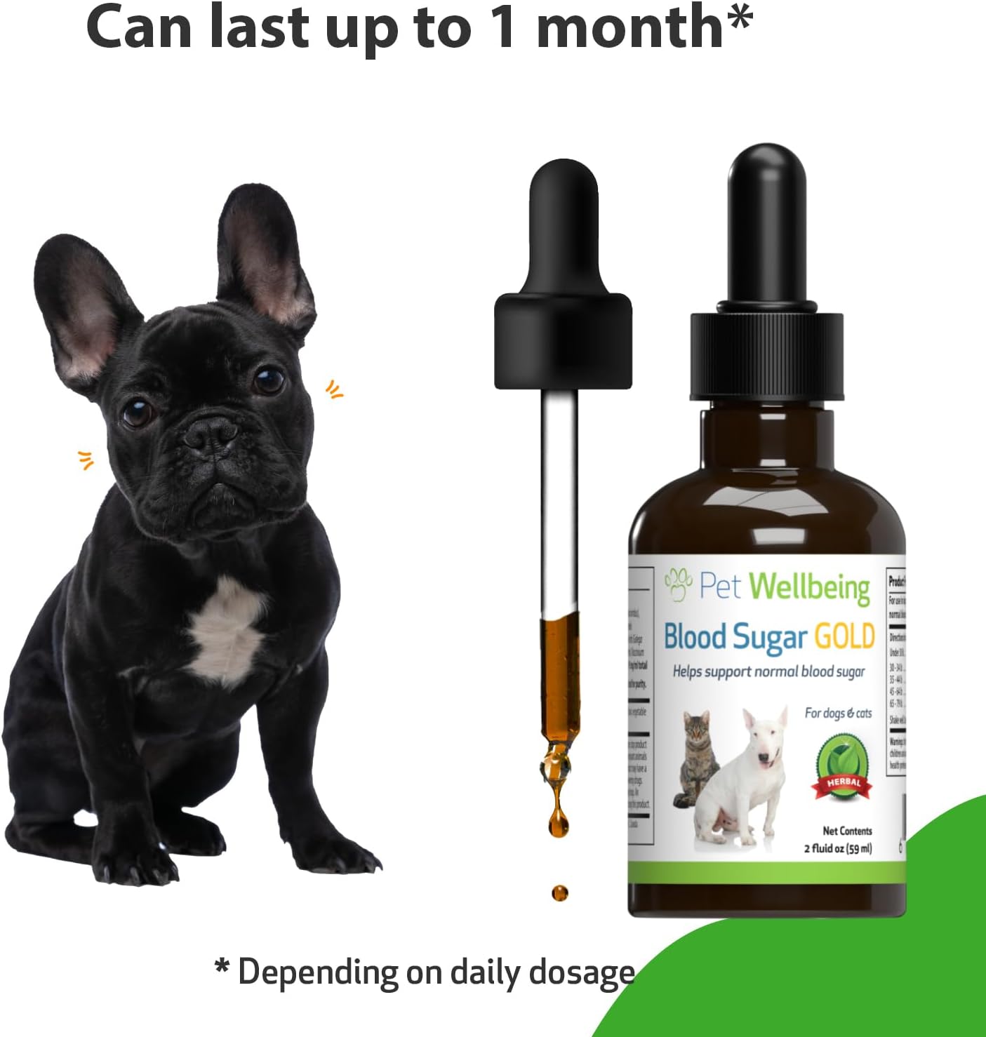 Pet Wellbeing Blood Sugar Gold for Dogs - Vet-Formulated - Supports Healthy Blood Sugar Balance, Pancreas & Liver Function - Natural Herbal Supplement 2 oz (59 ml)-6