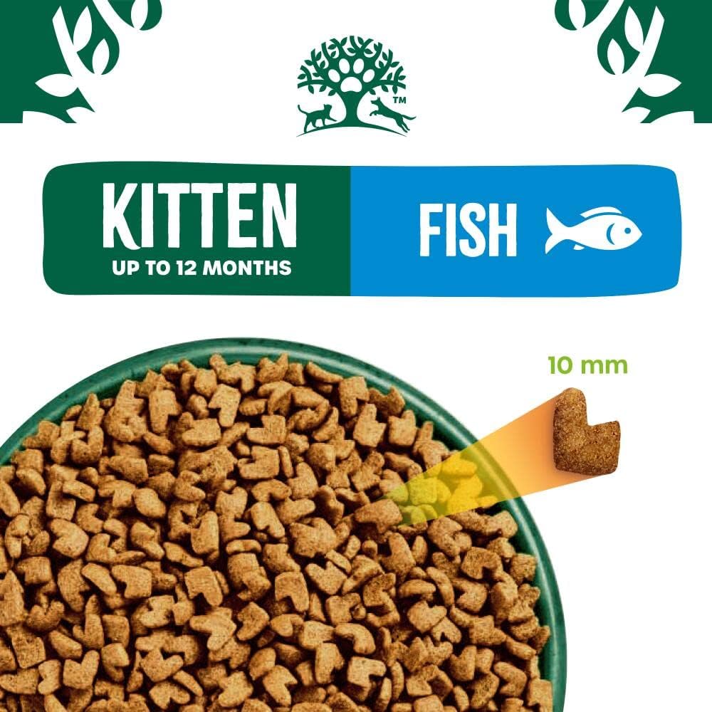 James Wellbeloved Junior Fish 1.5 kg Bag, Hypoallergenic Kitten Dry Cat Food-6