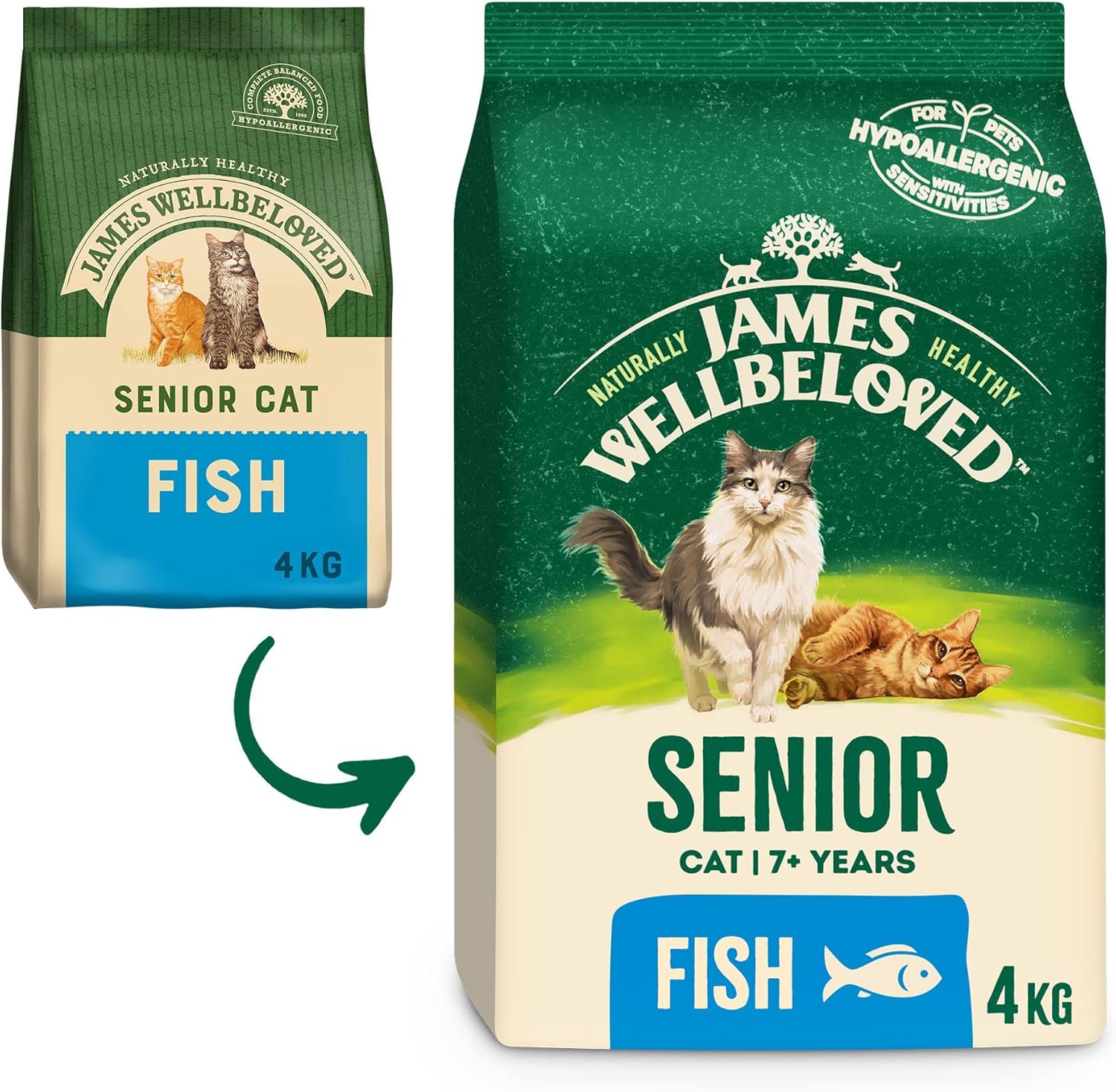 James Wellbeloved Senior Fish 4 kg Bag, Hypoallergenic Dry Cat Food-1