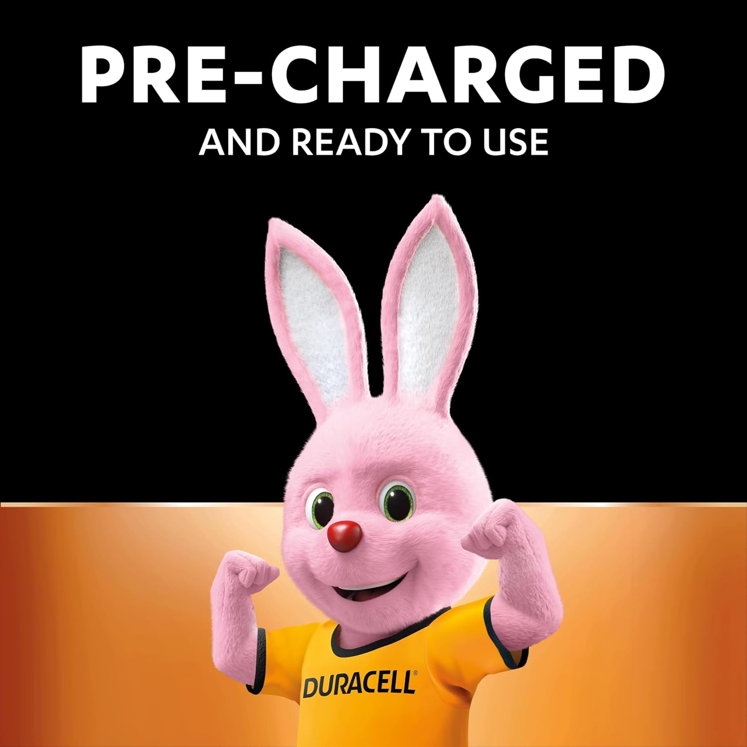 Duracell Rechargeable AA Batteries (Pack of 4), 2500 mAh NiMH, pre-charged, Our No. 1 Longest Lasting Rechargable battery with a 0% plastic 100% recyclable packaging-6