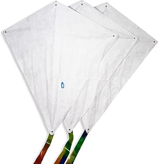 CIM Single line kites - Craft Kites - (SET OF 3 KITES) with all accessories