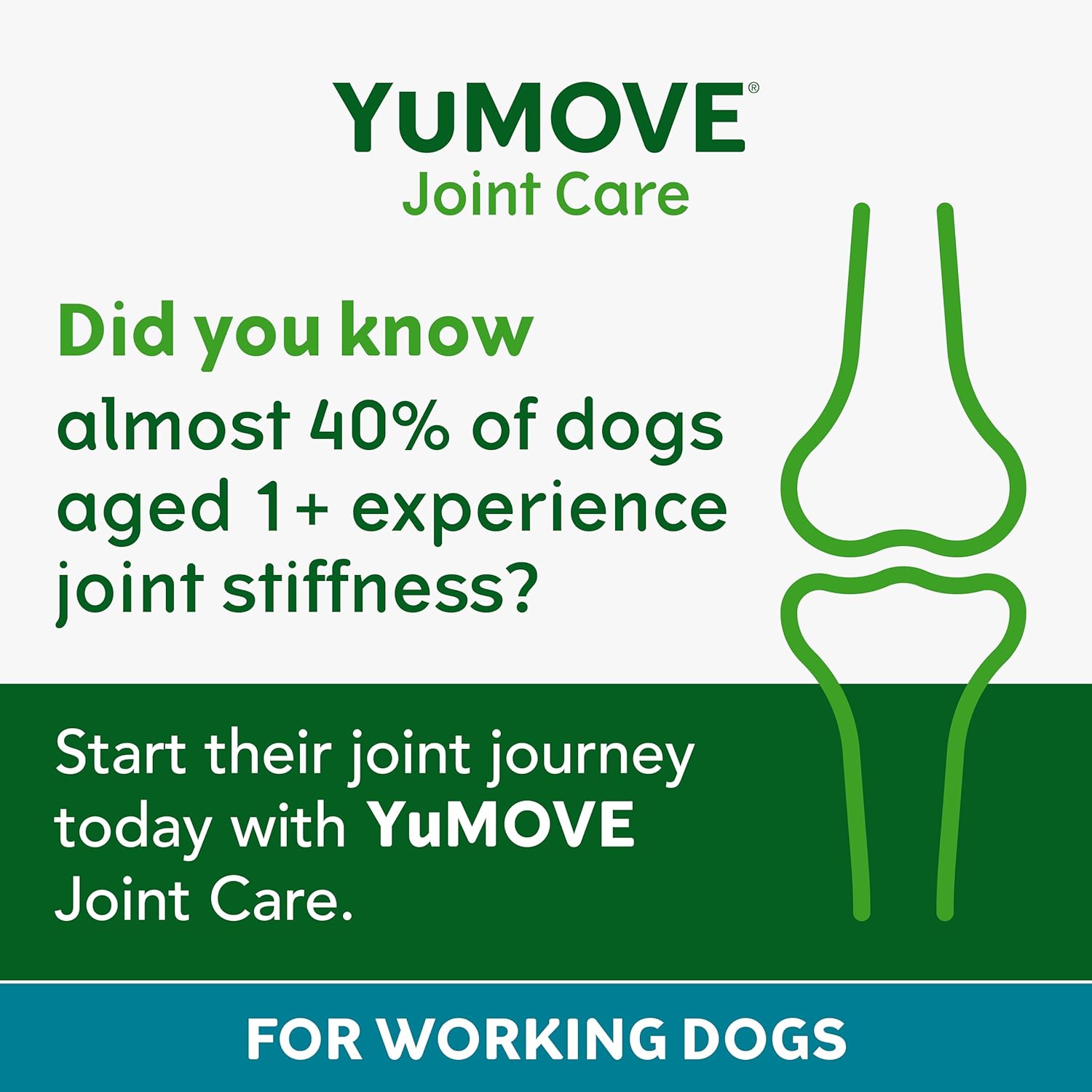 YuMOVE Working Dog | Joint Supplement for Working Dogs, with Glucosamine, Chondroitin, Green Lipped Mussel | All Ages and Breeds | 480 Tablets-2