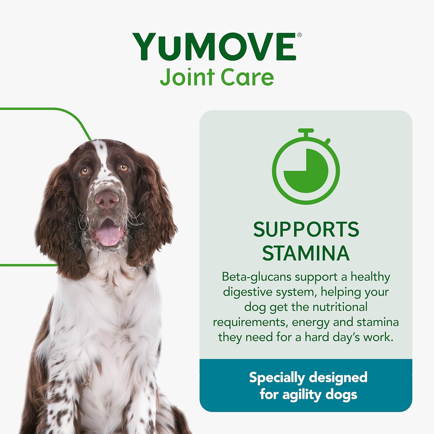 YuMOVE Working Dog | Joint Supplement for Working Dogs, with Glucosamine, Chondroitin, Green Lipped Mussel | All Ages and Breeds | 480 Tablets-3