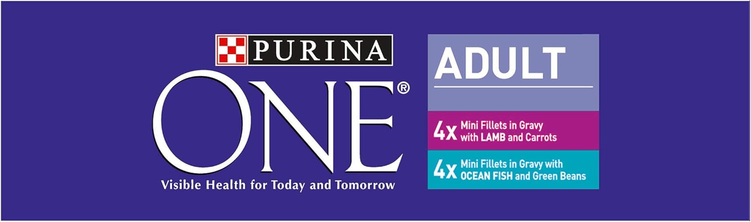 Purina ONE Adult Cat Food Fish and Lamb 8x85G, Pack of 5-3