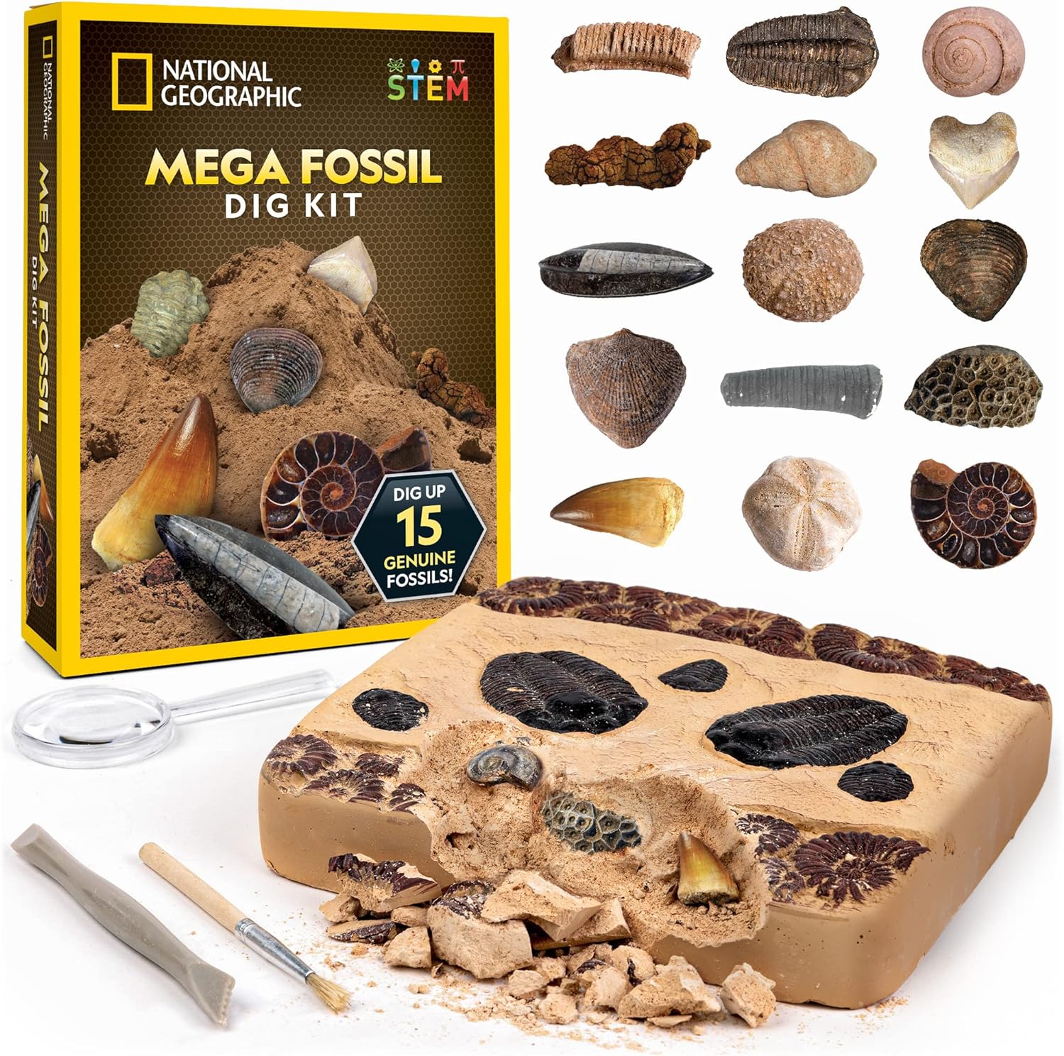 National Geographic Mega Fossil Dig Kit - Excavate 15 Genuine Prehistoric Fossils, Kids Fossil Kit, Educational Toys, Great Science Kit Gift for Girls and Boys (Amazon Exclusive)-0