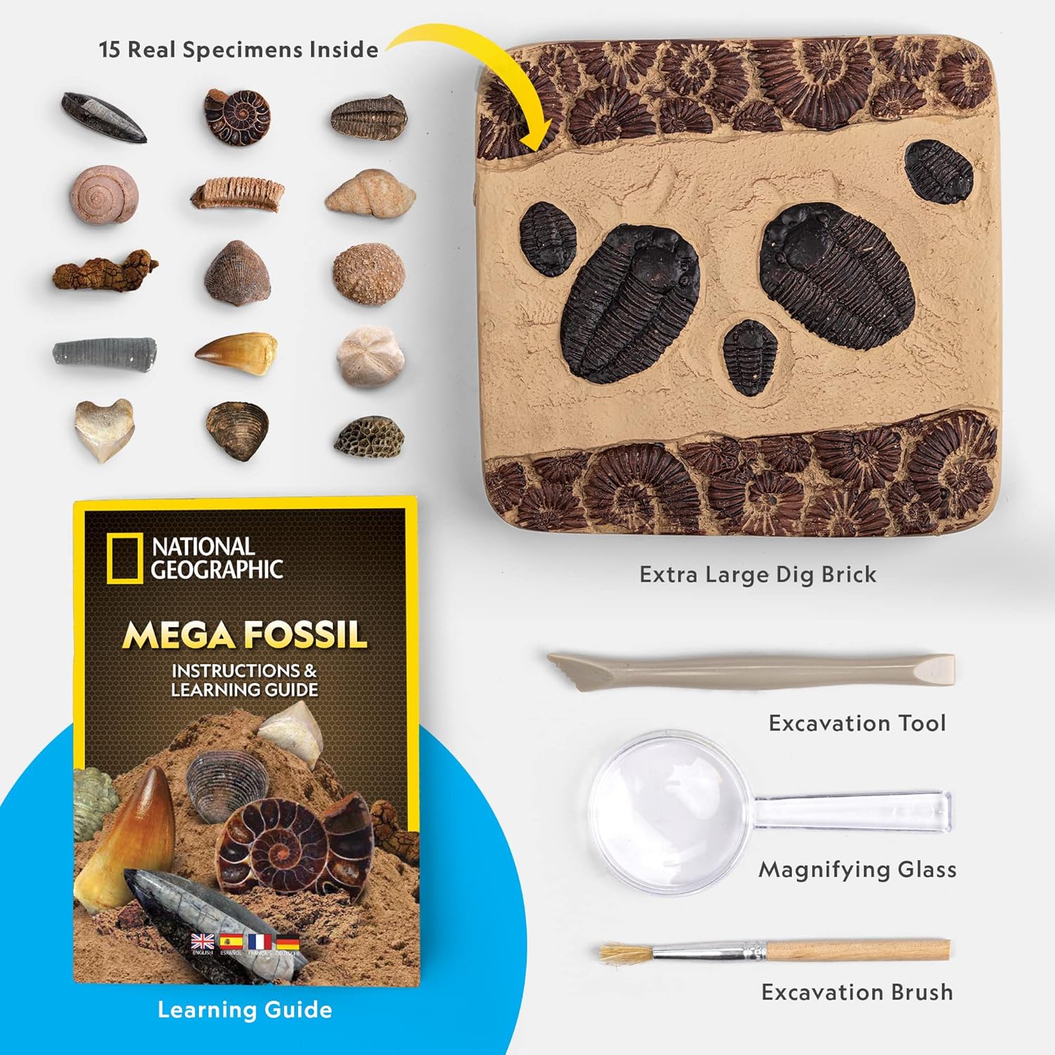 National Geographic Mega Fossil Dig Kit - Excavate 15 Genuine Prehistoric Fossils, Kids Fossil Kit, Educational Toys, Great Science Kit Gift for Girls and Boys (Amazon Exclusive)-5