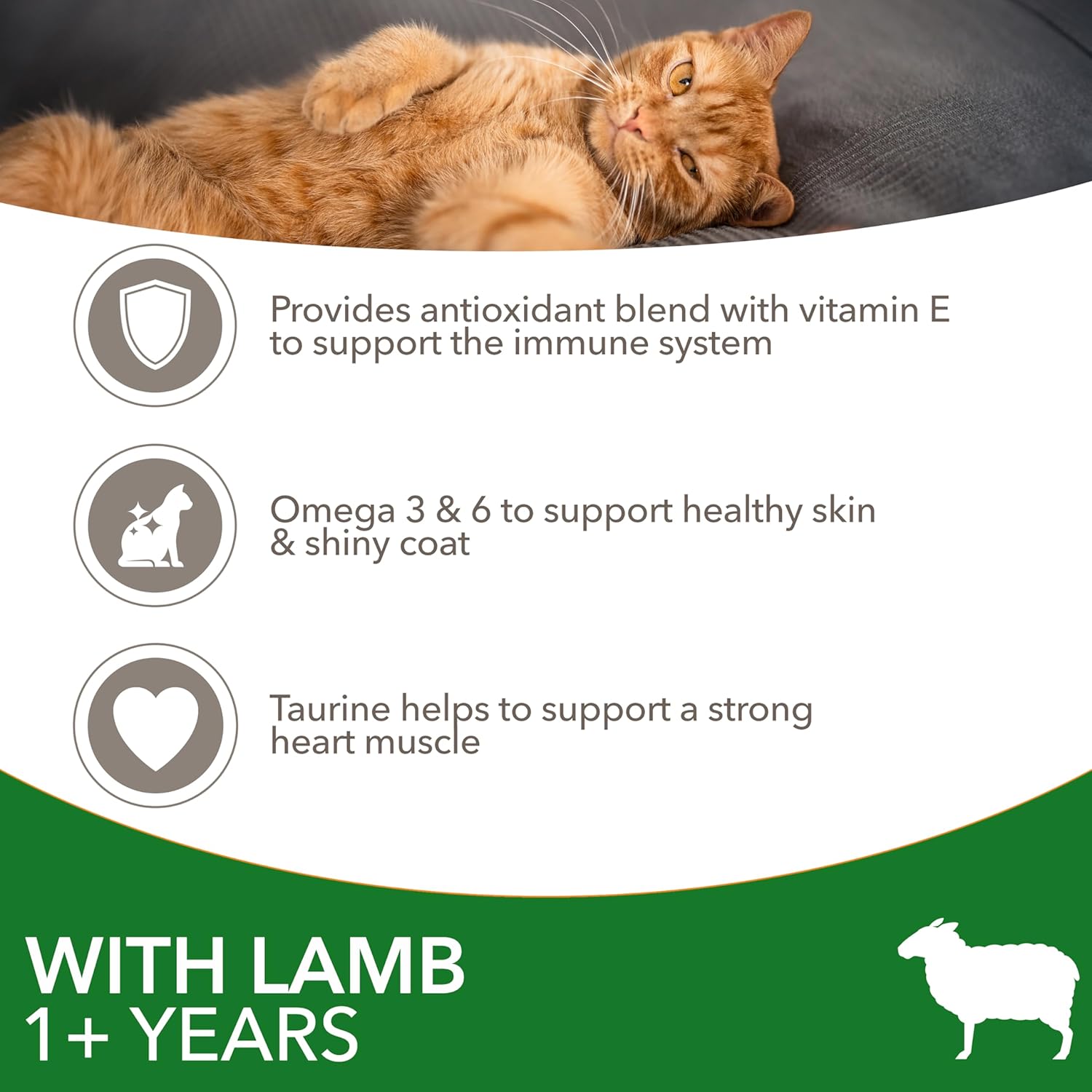 IAMS Complete Dry Cat Food for Adult 1+ Cats with Lamb 3 kg-3