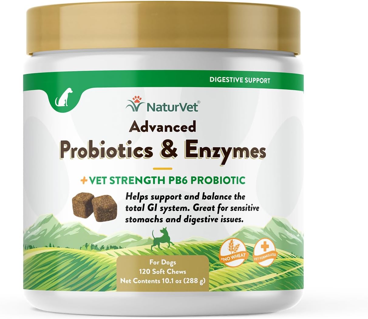 Veterinarian Strength Advanced Probiotics, Healthy Enzymes and PB6 Probiotic Supplement For Your Dogs Stomach, Intestine, Digestion and GI Tract health, Made by NaturVet, 120 Soft Chews-0