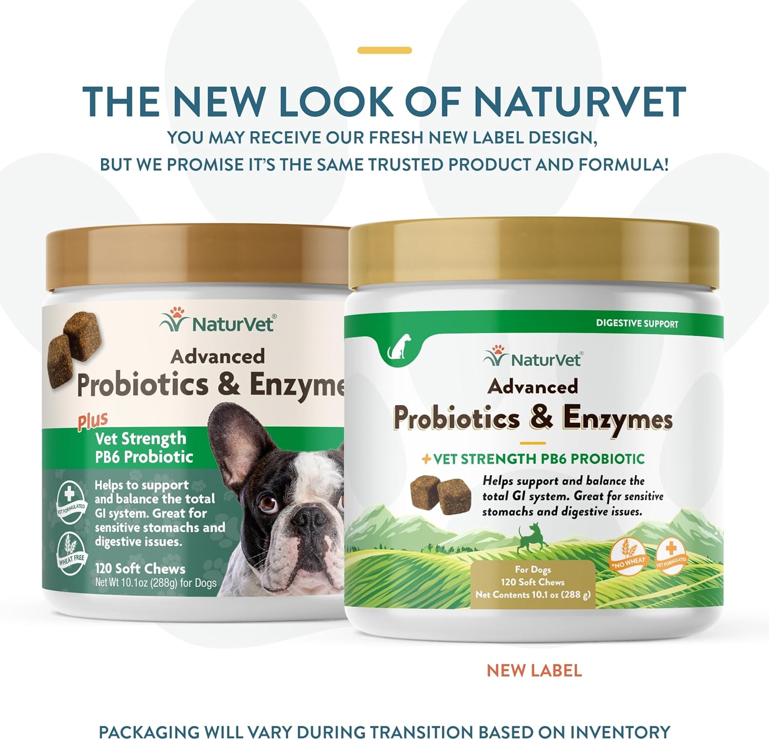 Veterinarian Strength Advanced Probiotics, Healthy Enzymes and PB6 Probiotic Supplement For Your Dogs Stomach, Intestine, Digestion and GI Tract health, Made by NaturVet, 120 Soft Chews-1