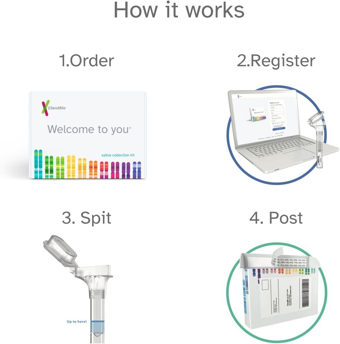 23andMe Health + Ancestry Service: Personal Genetic DNA Test Including Health Predispositions, Carrier Status, Wellness, and Trait Reports (Before you buy see Important Test Info below)-5