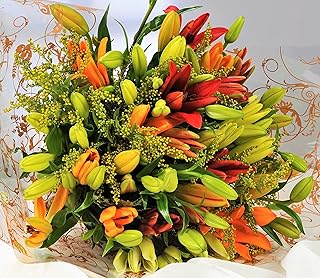 Asiatic Lily Fresh Flowers Delivery Next Day Prime, Send a Luxury Gift Wrapped Bouquet with Handwritten Card