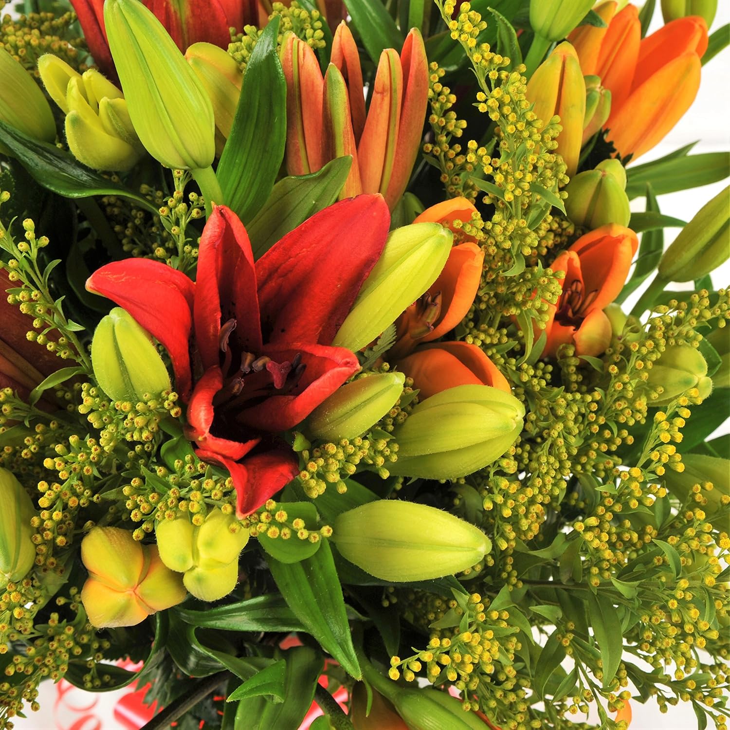 Asiatic Lily Fresh Flowers Delivery Next Day Prime, Send a Luxury Gift Wrapped Bouquet with Handwritten Card-2