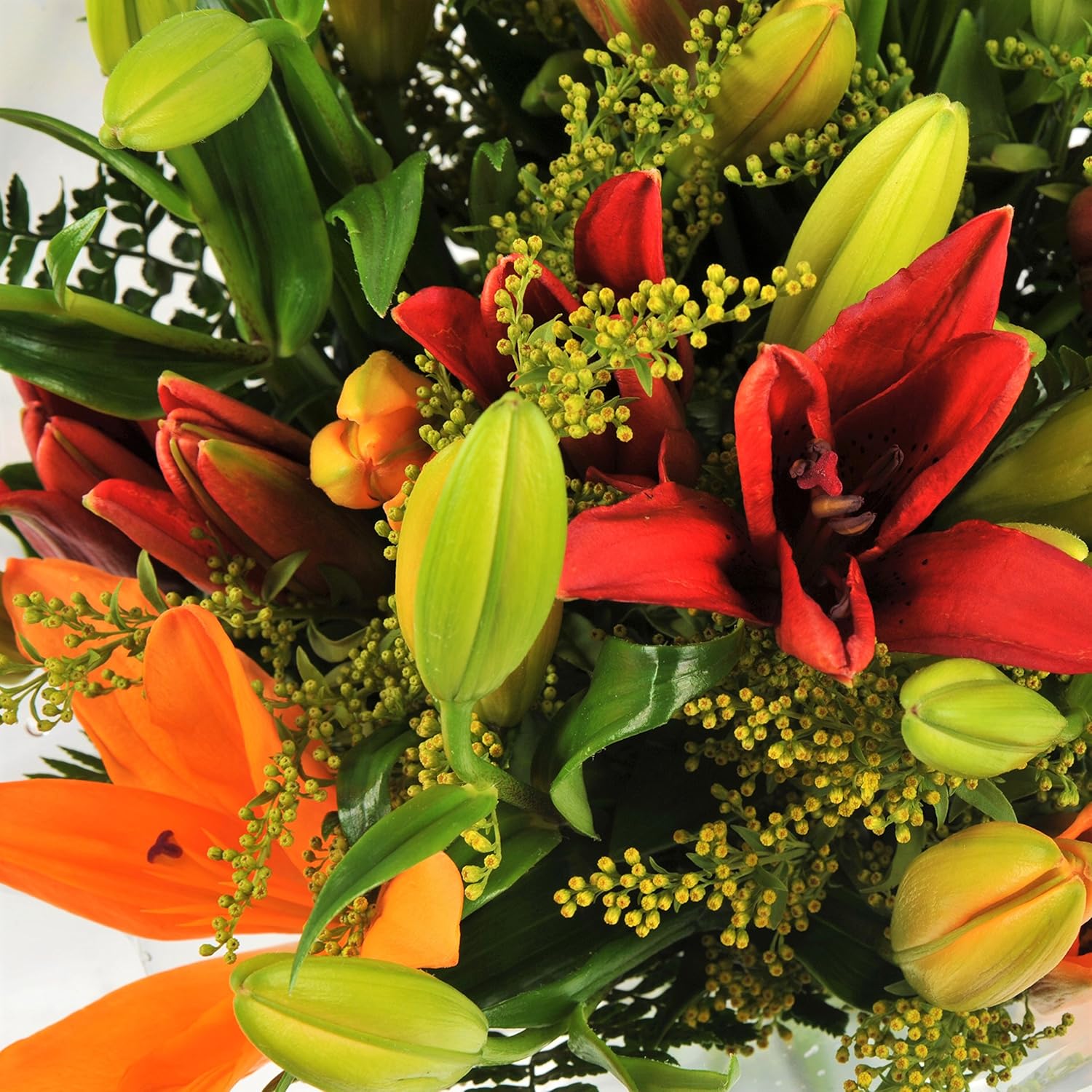 Asiatic Lily Fresh Flowers Delivery Next Day Prime, Send a Luxury Gift Wrapped Bouquet with Handwritten Card-3