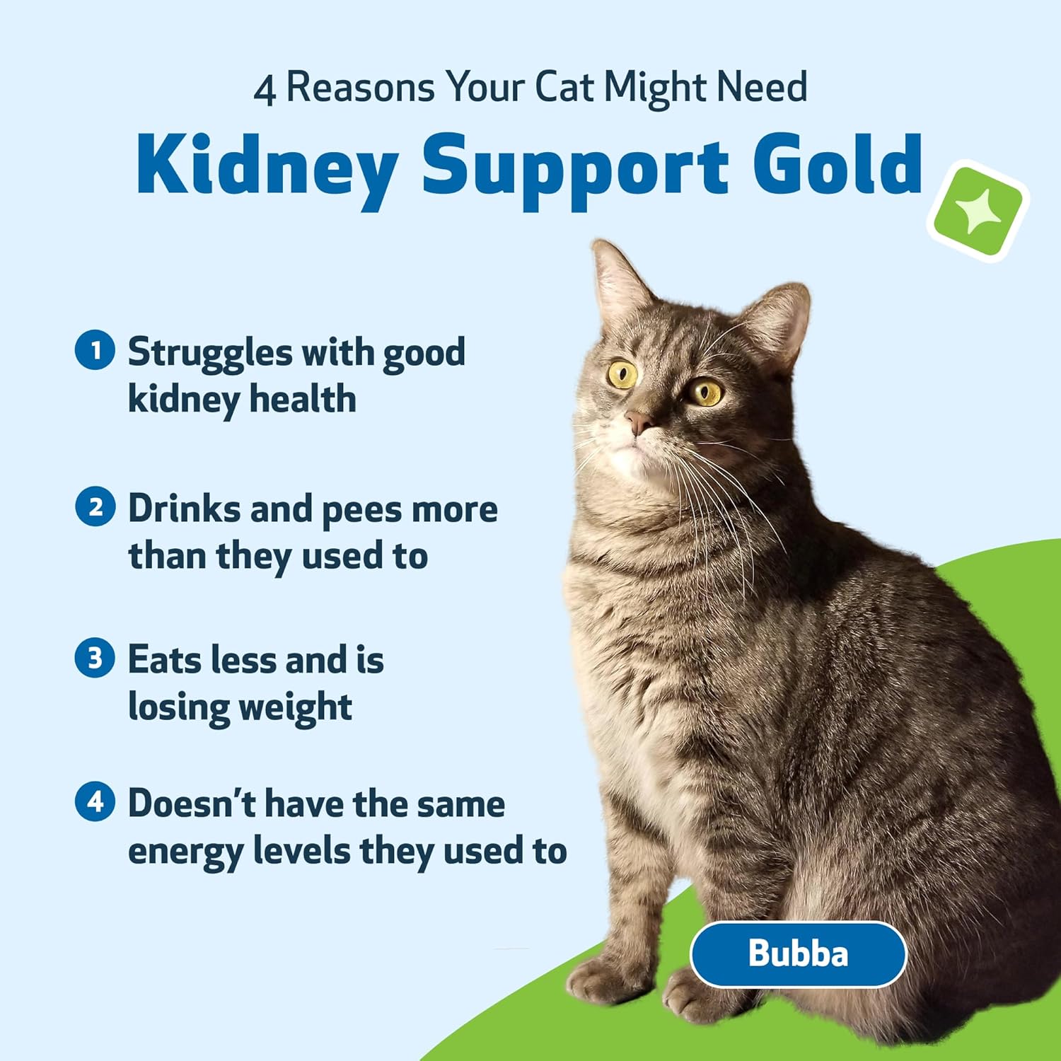 Pet Wellbeing Kidney Support Gold for Cats - Vet-Formulated - Supports Healthy Kidney Function in Cats - Natural Herbal Supplement 2 oz (59 ml)-1