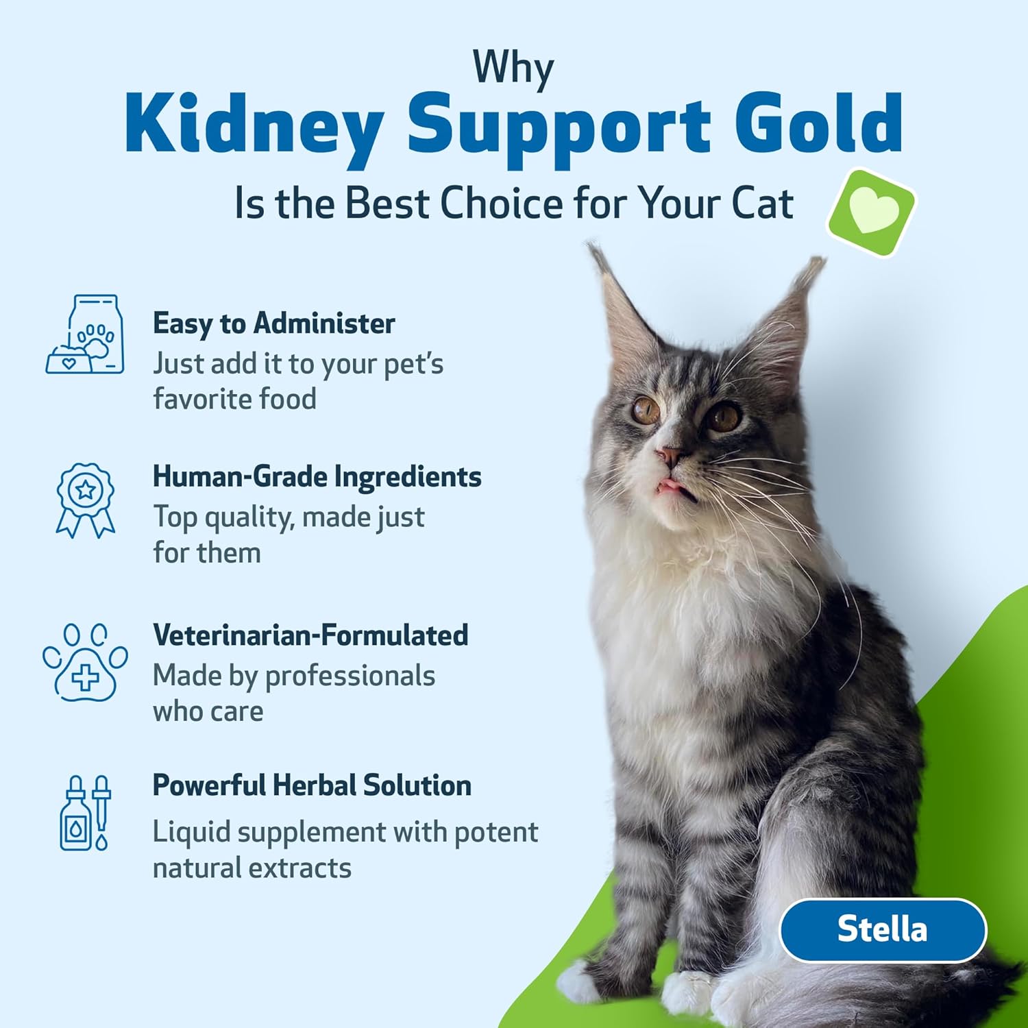 Pet Wellbeing Kidney Support Gold for Cats - Vet-Formulated - Supports Healthy Kidney Function in Cats - Natural Herbal Supplement 2 oz (59 ml)-3