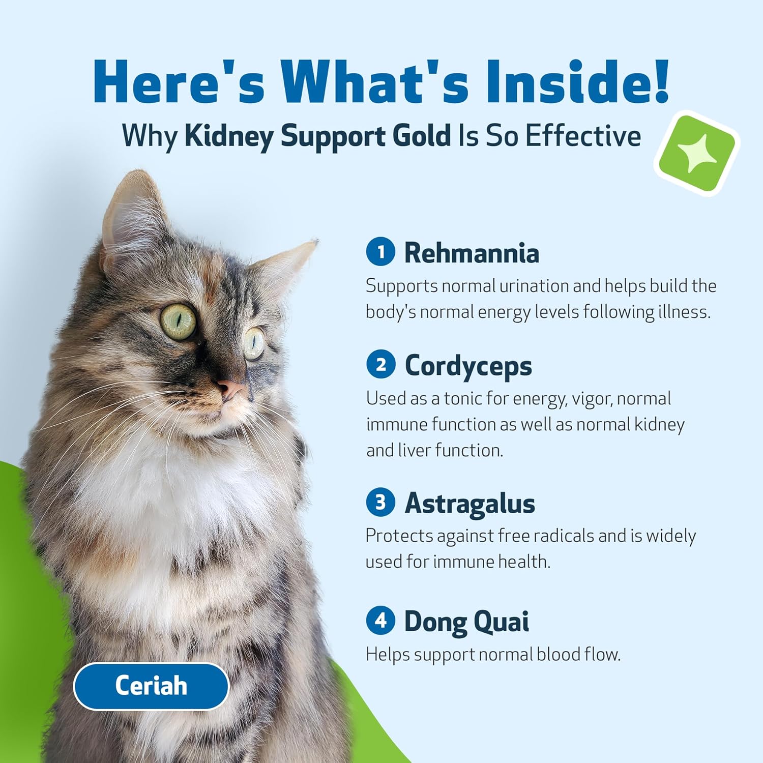 Pet Wellbeing Kidney Support Gold for Cats - Vet-Formulated - Supports Healthy Kidney Function in Cats - Natural Herbal Supplement 2 oz (59 ml)-4