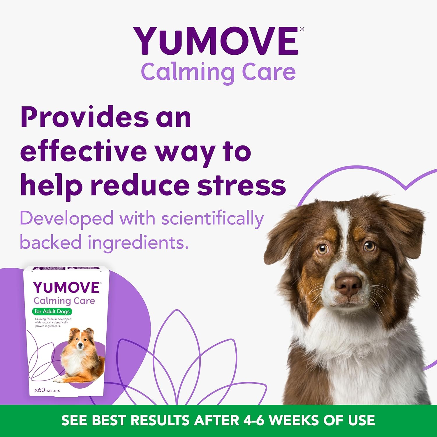 YuMOVE Calming Care for Adult Dogs | Previously YuCALM Dog | Calming Supplement for Dogs who are Stressed or Nervous |60 tablets | Packaging may vary-1