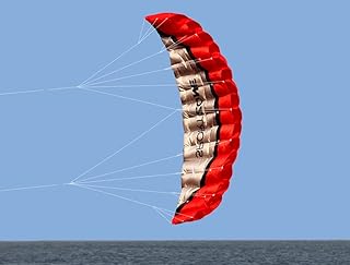 Kwasyo 2.5m Outdoor Parafoil Kite - Dual Line Stunt Parachute Beach Kite with Handle 30m Line